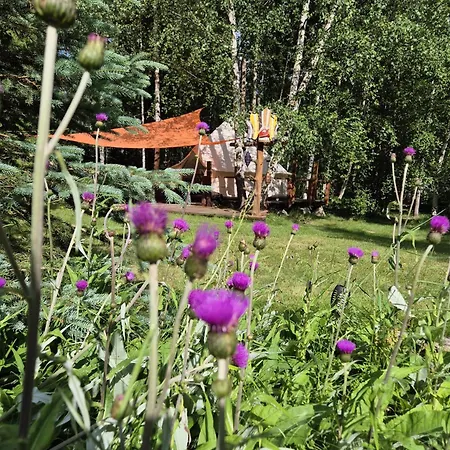 Glamping Stola-saman
